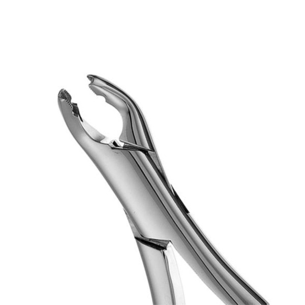 Mi Universal Dental Forceps #151XAS Child - #151XAS Img: 202212241