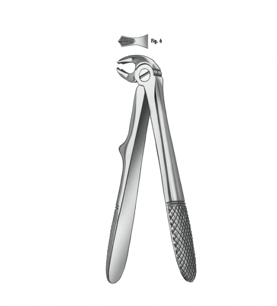 280/6 FOR.KLEIN CHILD MOLAR.INF Img: 202110091