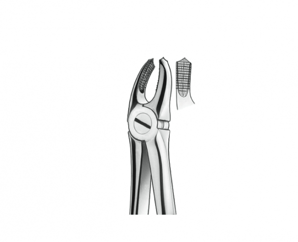 18A SUPERIOR MOLE FORCEPS. Img: 201811031