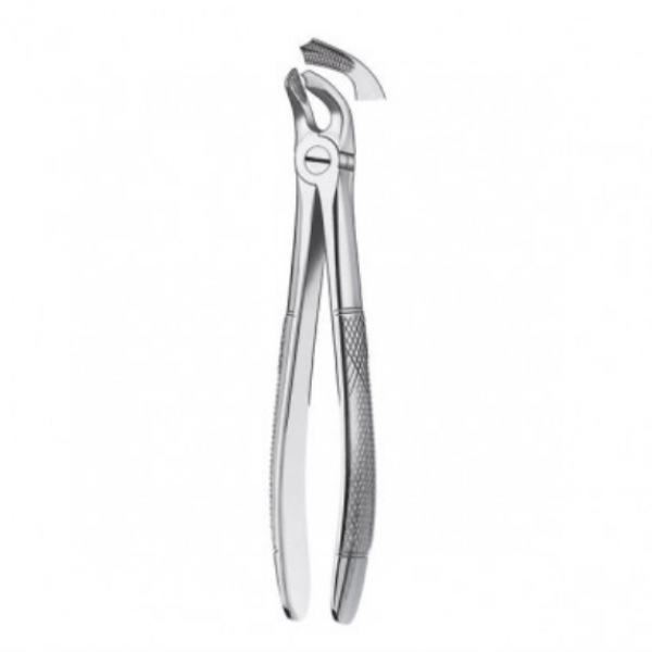 21 LOWER FORCEPS MOLARS Img: 202204301