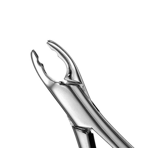 Dental Forceps #150XAS MS - #150XAS MS Img: 202212241