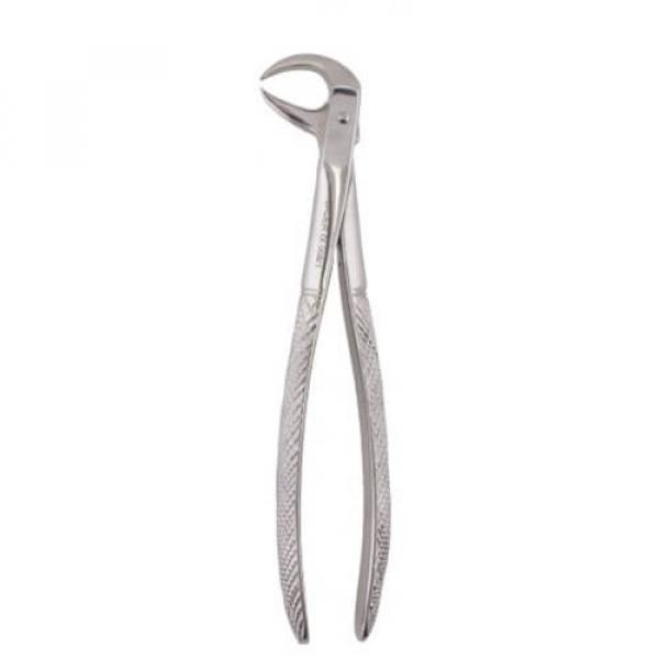 Forceps Figure 86C Img: 202410121