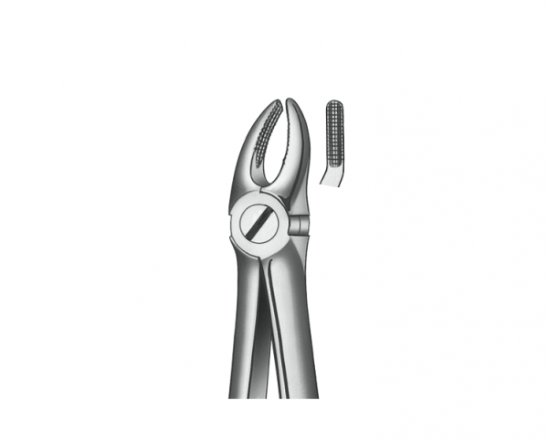 7 TOP PREMOLAR FORCEPS Img: 201811031