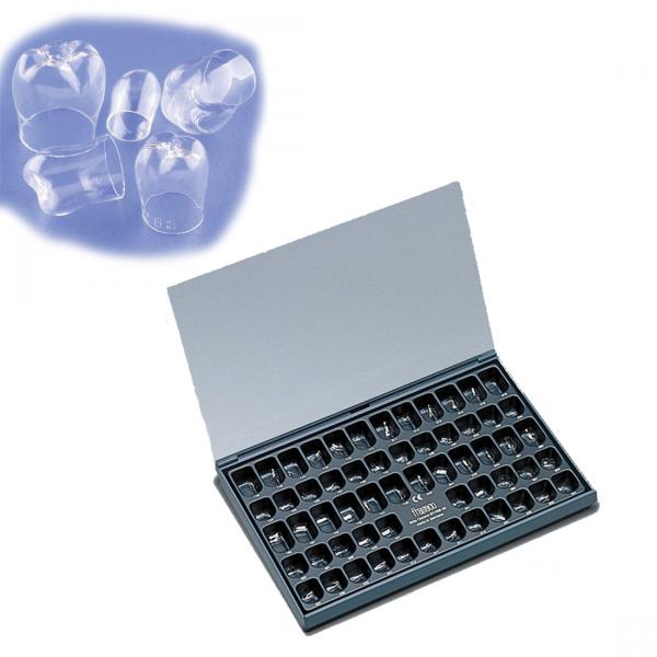 ASSORTMENT OF MOLAR TEETH Img: 201811031