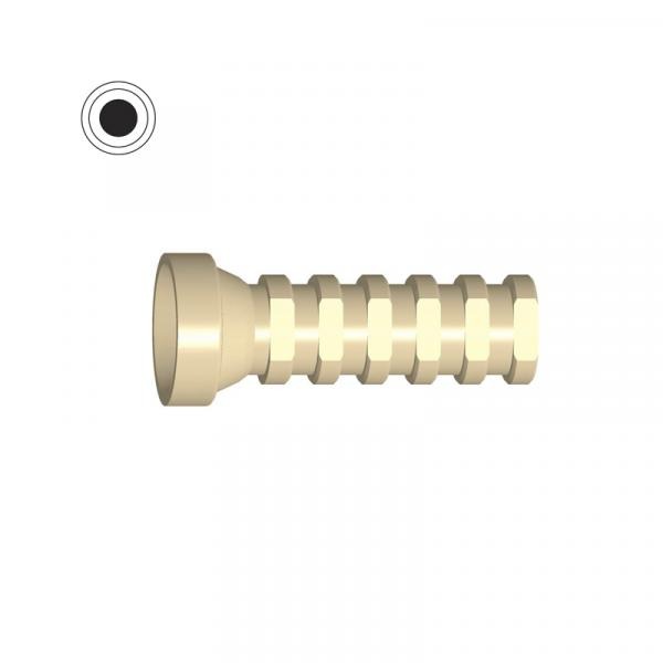 External Hexagonal Provisional Cylinder (Phibo TSH® S3/S4)-Peek Img: 202010171