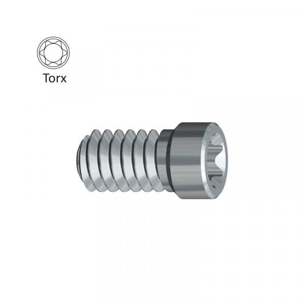 Internal Octagonal Attachment Screw (Straumann Tissue Level WN®) - Llave Torx Img: 202011211