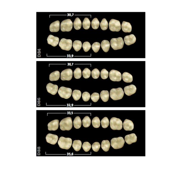 Lower rear GNATHOSTAR teeth D88  - 4D Img: 201907271