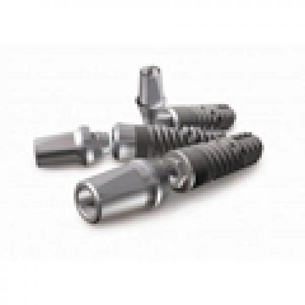 IMPLANTS Dental Supplies and Equipment Dentaltix
