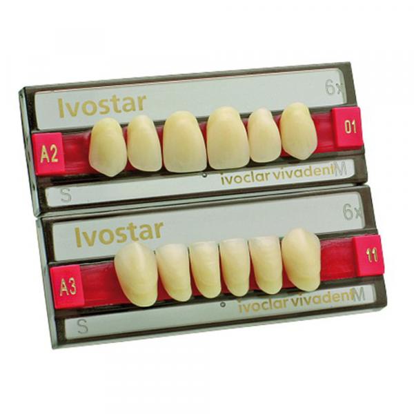 IVOSTAR 14 lower anterior teeth IVOCLAR VIVADENT