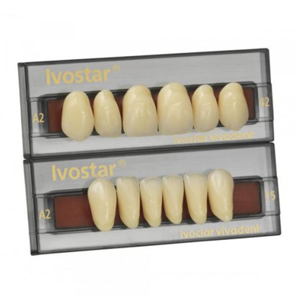 IVOSTAR Anterior superior 03 teeth - 03 4B Img: 201907271