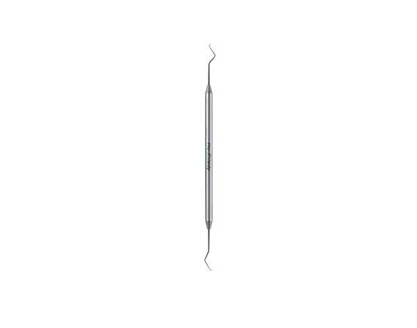 Kotschy: Explorer 11 Img: 202104171