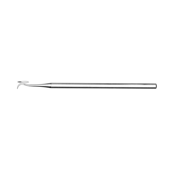 Scale Cleaner Img: 202508091
