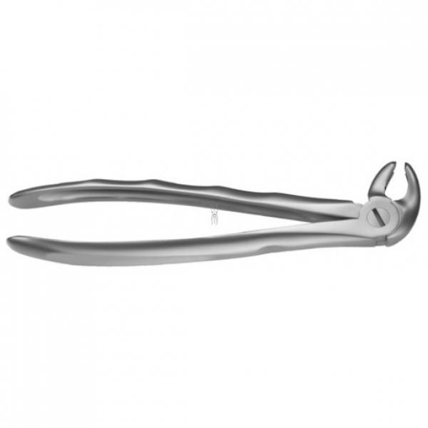 LS22 FORCEPS MOLAR INF. LIQUID STEEL Img: 201807031