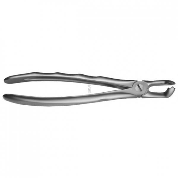 LS79 CORDALES FORCEPS INF. LIQUID STEEL Img: 201807031