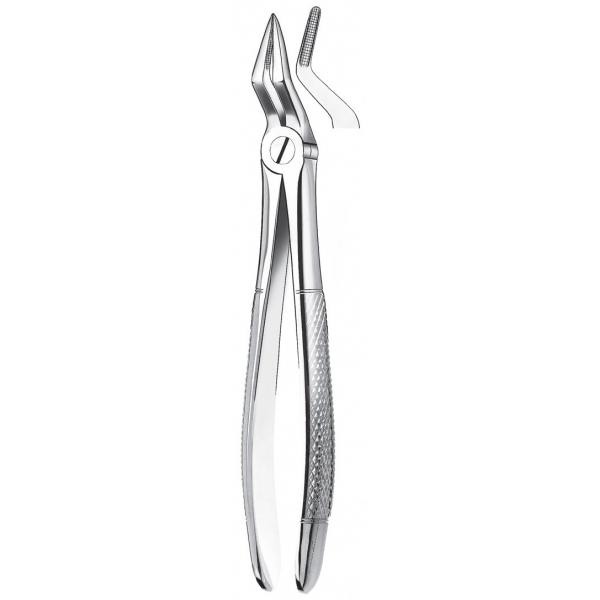 M2051 FORCEPS RAICES SUPERIOR. Img: 201811031