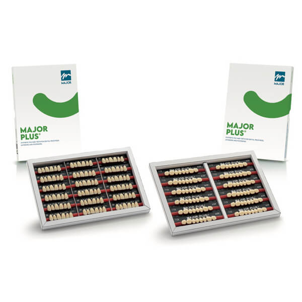Major Plus Vita: Lower Anterior Teeth (6 pcs) - Shape: 00 - Color: A1 Img: 202606131