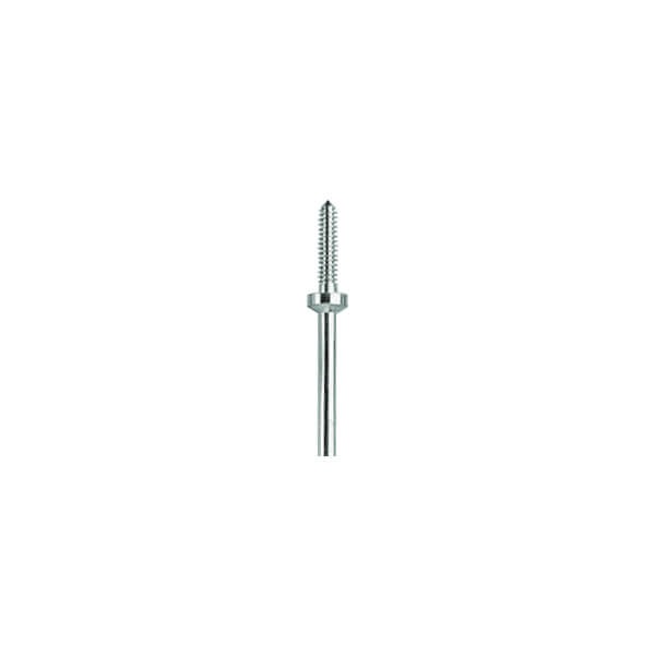 Chucks for Different Types of Polishers (10 units) - Cylinder Img: 202411301