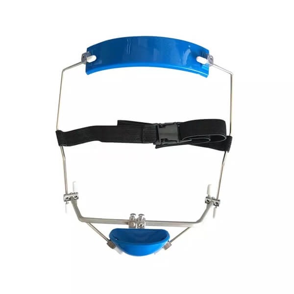 Delaire Style Face Mask Blue Astar Orthodontics