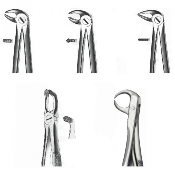 FORCEPS KDM 22 inflatable maxillary Img: 202112041