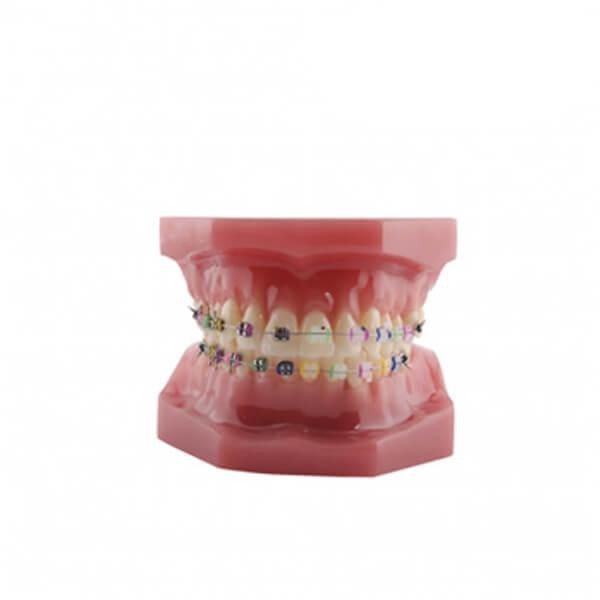 BADER BE BRACKET MODEL Img: 202109111