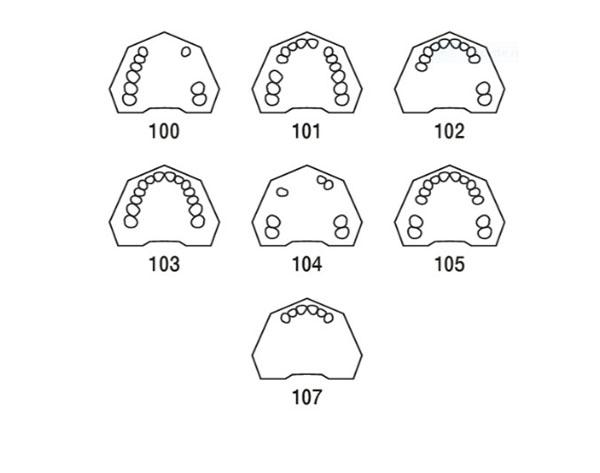 Typodont  AG-3: Partially toothed jaw - 100 Img: 202107101