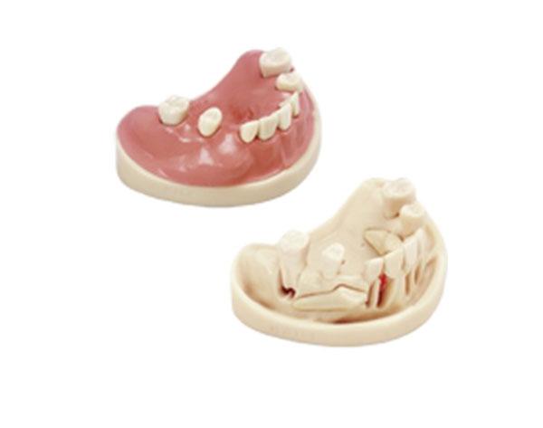 A-J OP OK: Surgical Exercise Training Model Img: 202107101