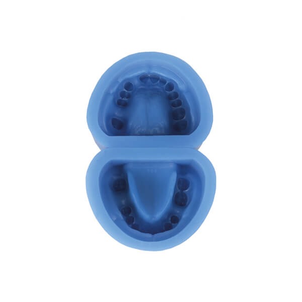 Silicone Mold for Edentulous Dental Prostheses - Unit. Img: 202404131