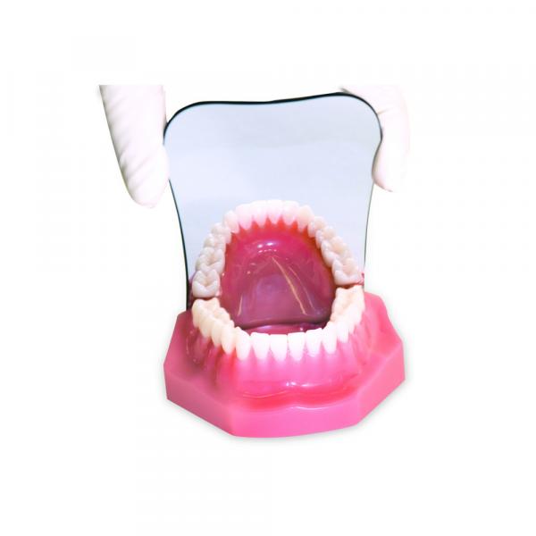 Adult Occlusal Crystal Photographic Mirror. Img: 201807031