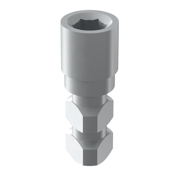 REPLICA OF THE IMPLANT C.INT.HEX. RP Img: 201807031