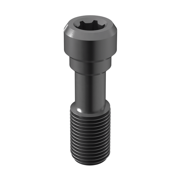 TITANIUM SCREW INT.CONICA M2 RP Img: 201807031