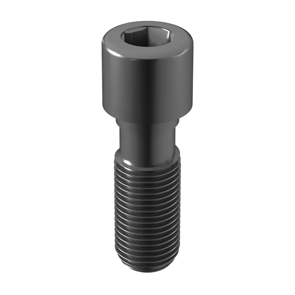 TITANIUM SCREW C.INT BTI RP Img: 201807031