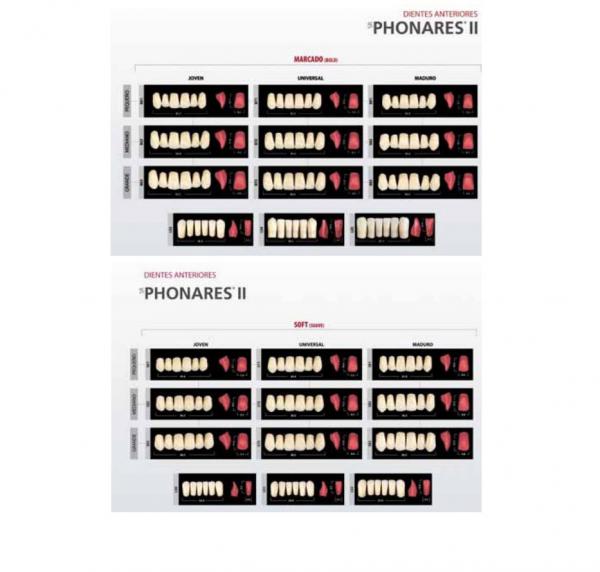 SR PHONARES II ant inf L52 A3 Img: 201807031