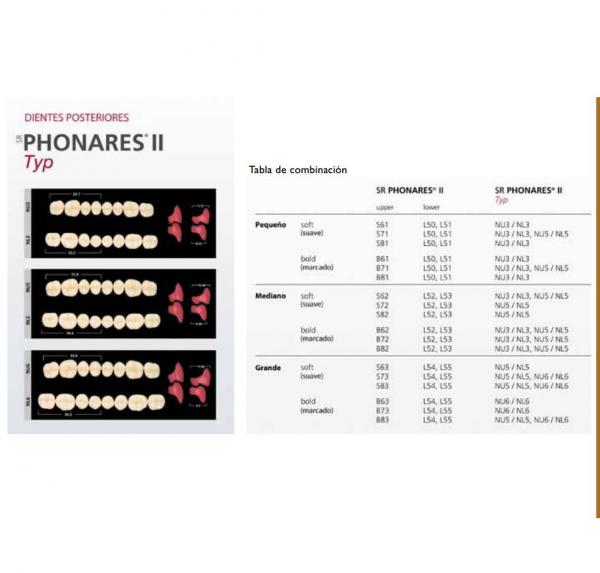 SR PHONARES II post inf NL3 A3 Img: 201807031