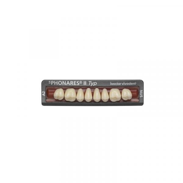 Lower posterior SR PHONARES II teeth (8 units) - NL6 A1 Img: 201907271