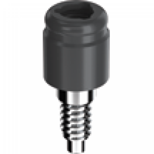 Internal Connection Pillar BTI RP - Transmucosal height 1 mm Img: 202102271