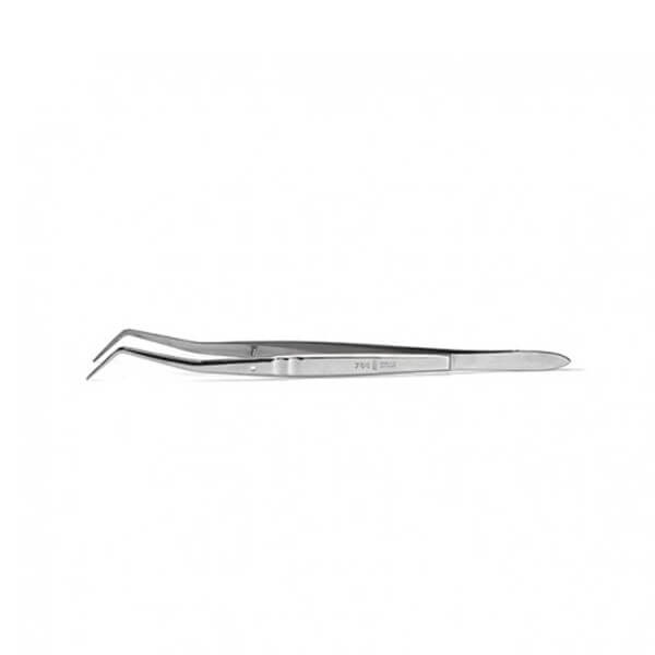 Surgery Forceps 788/1 Img: 202401061