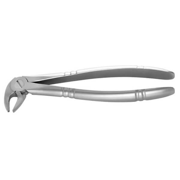 Tooth Extraction Forceps with Ergonomic Handle - Canines and Lower Incisors (Figure 13) Img: 202503081