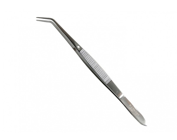 Dental forceps 17 cm Img: 202304151