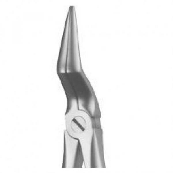 Forceps Figure 151 Img: 201807031