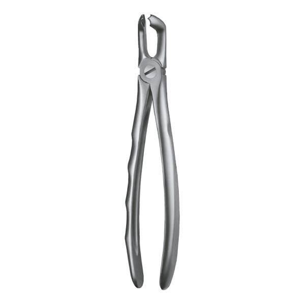 Forceps Figure 79 Img: 201906011