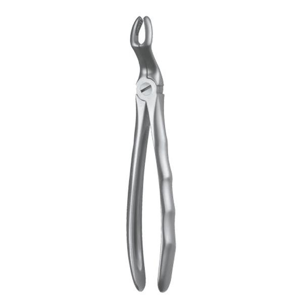 Forceps Figure 67A Img: 201807031