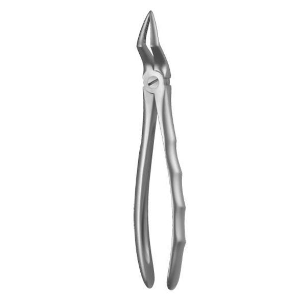 Forceps Figure 51A Img: 201807031