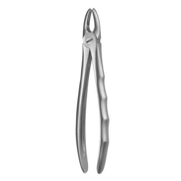 Forceps Figure 1 Img: 201906151