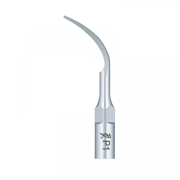 Insert Ultrasound Periodontics Long EMS - P1 Tip long Perio Img: 202605021