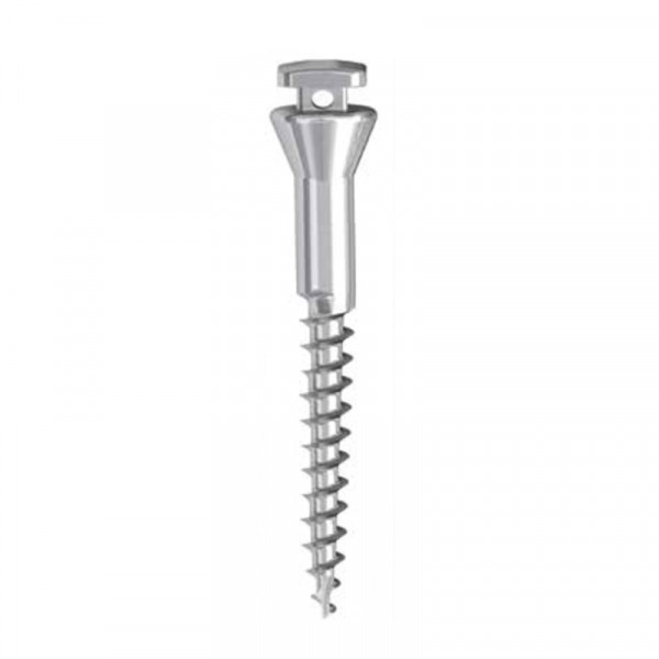 Spider Infracygomatic Micro Screw - 2,0 mm x 10,0 mm. Img: 202304081