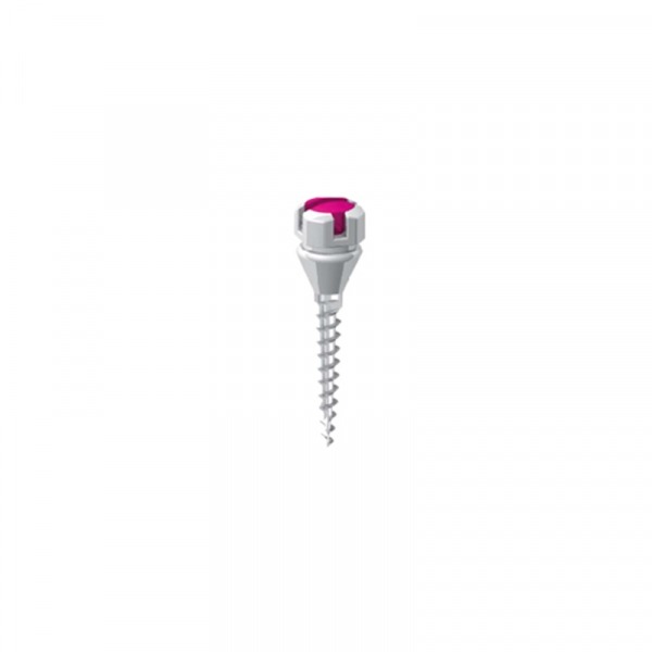 Spider Self-Ligating MicroScrew K1 Plus - 8,0 x 1,5 x 2,0 mm Img: 202304081