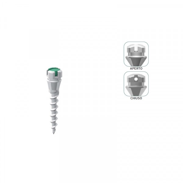 TAD K2 Spider Self-Ligating Micro Screw TAD K2 - 6,0 x 1,9 x 2,0 mm Img: 202304081