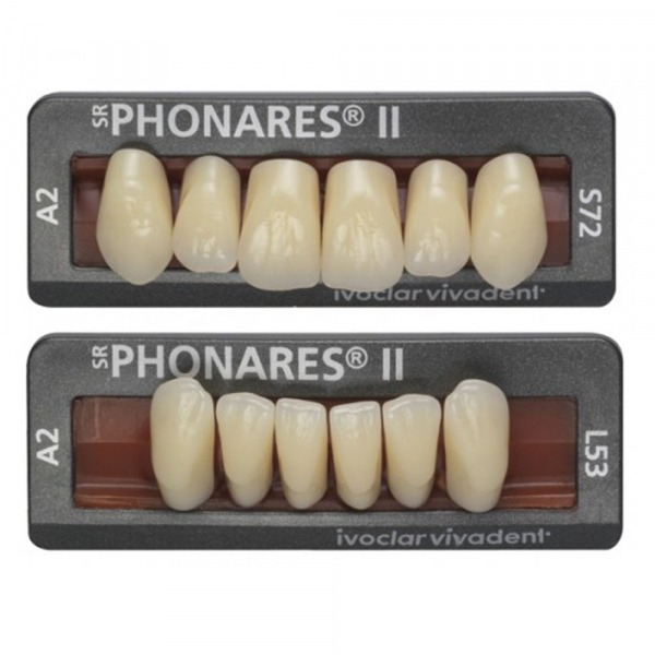 Upper Anterior Teeth Sr Phonares Ii (6U) - B73 B4 Img: 202002291