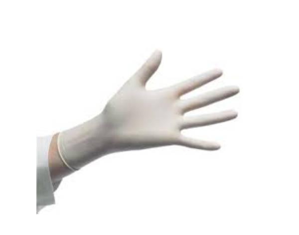 Powder-free examination gloves (50 pcs) Img: 202005301