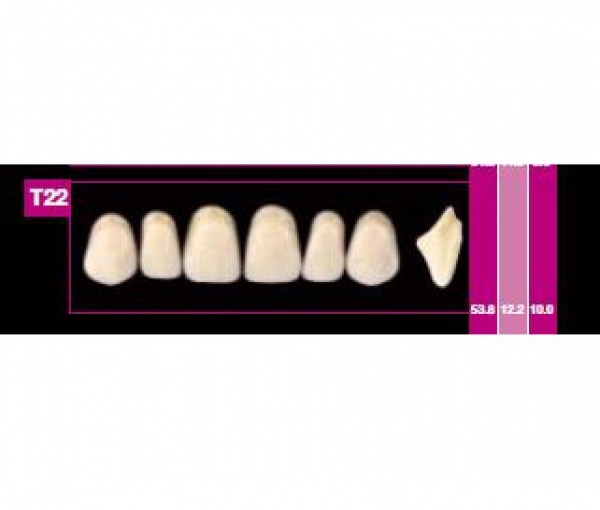 COSMO HXL ant sup T20 A3 Img: 201807031